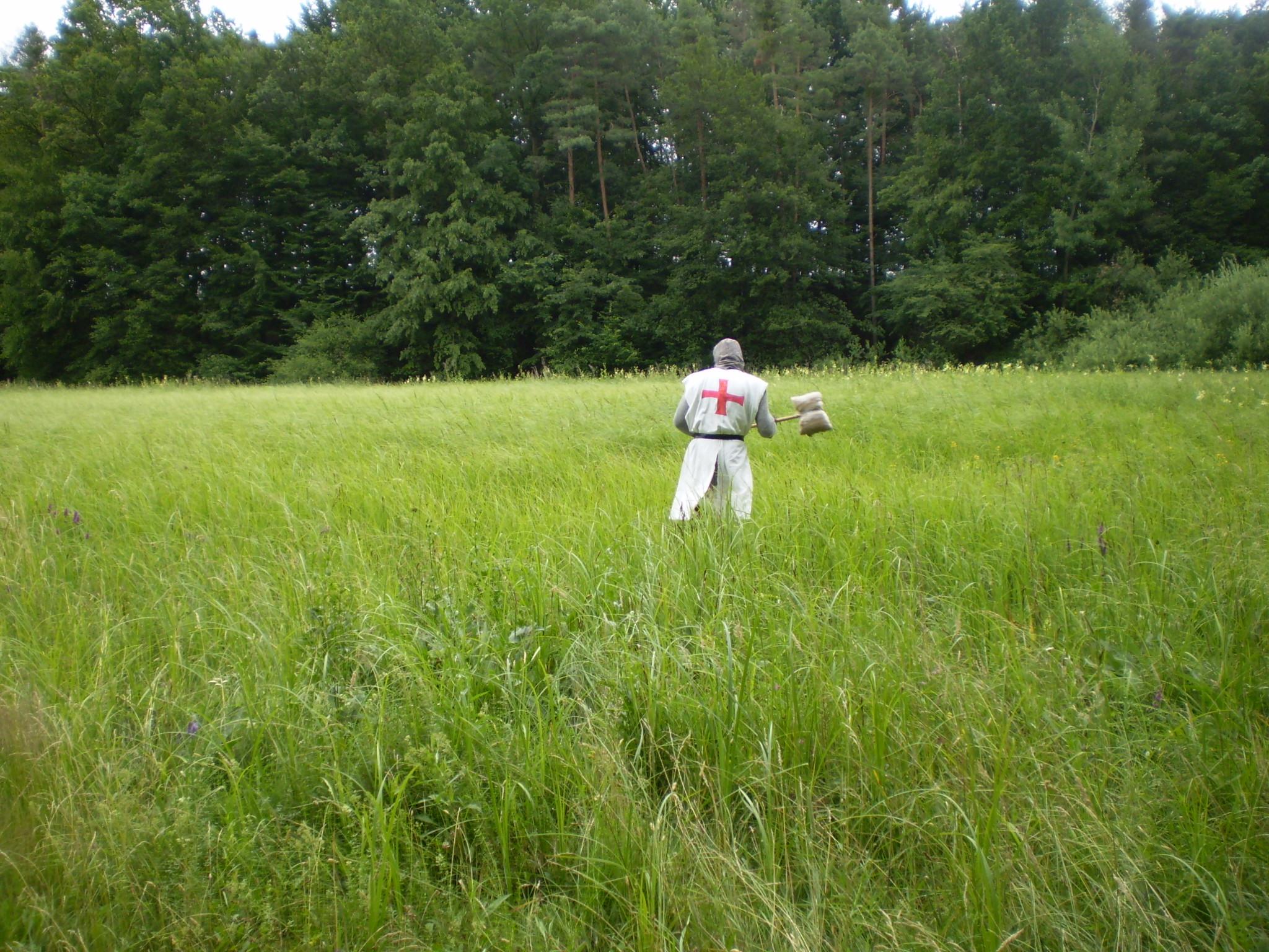 P7060058.JPG